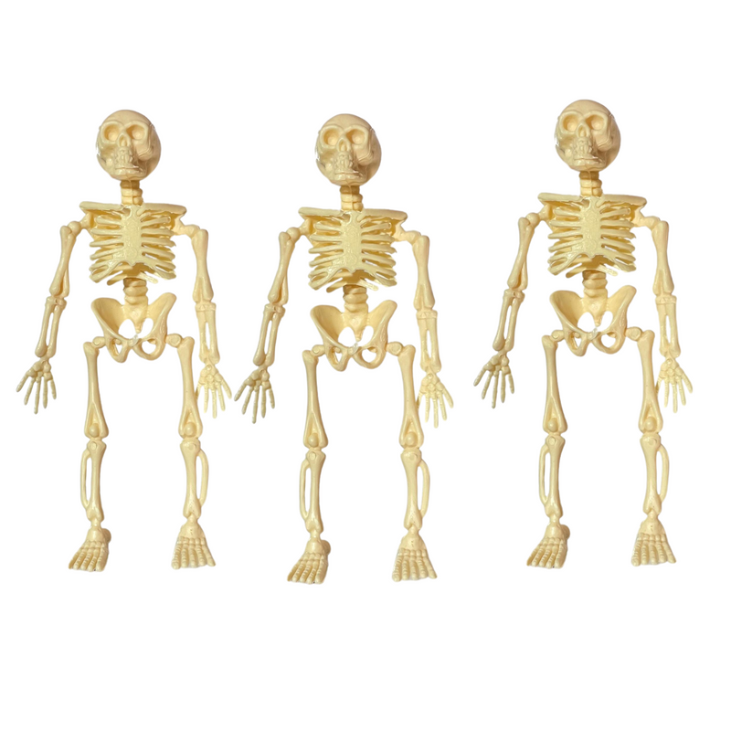 Kit 3 Caveiras De Plástico