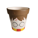 Vaso Harry Potter - Cerâmica