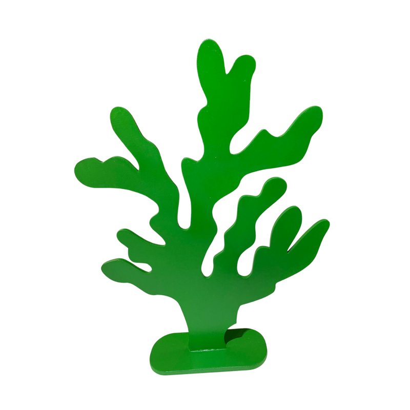 Display Alga Marinha de MDF