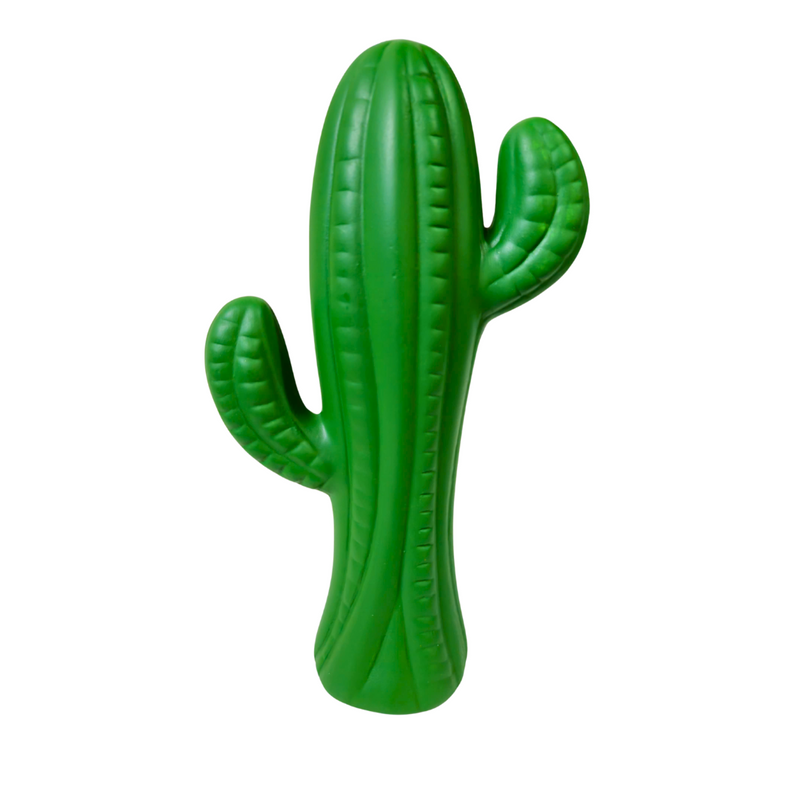 Cacto Cerâmica  30x16cm