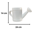 Regador de Cerâmica - Um Toque Charmoso para Sua Decoração