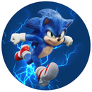 Painel 50cm De Tecido Sonic