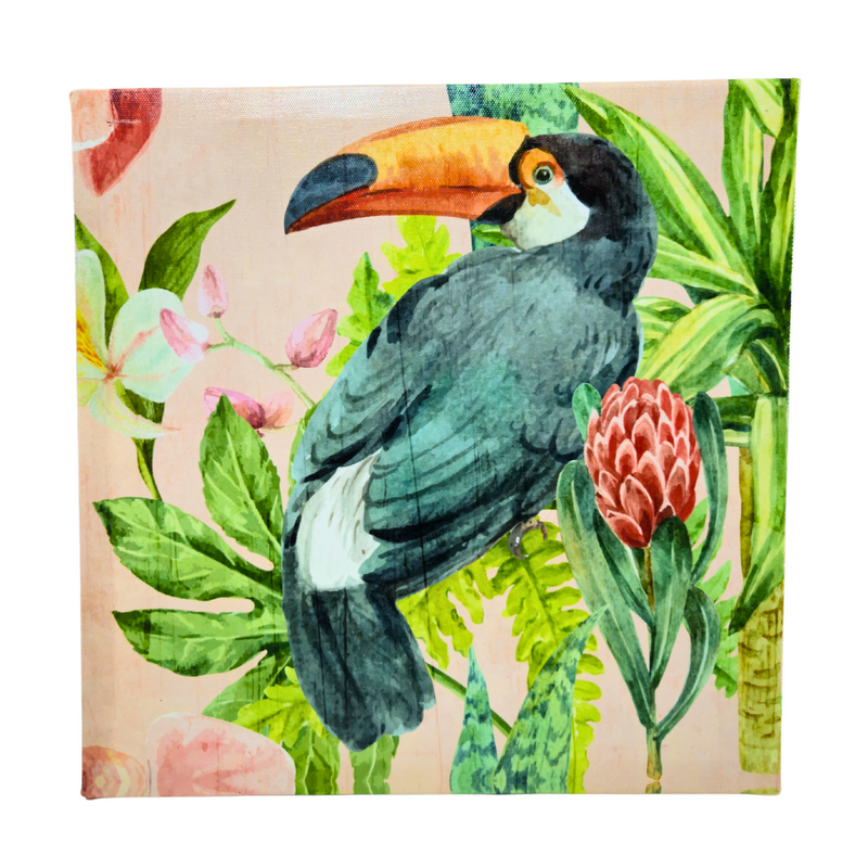Quadro Tucano 30x30cm