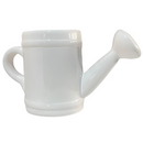 Regador de Cerâmica - Um Toque Charmoso para Sua Decoração