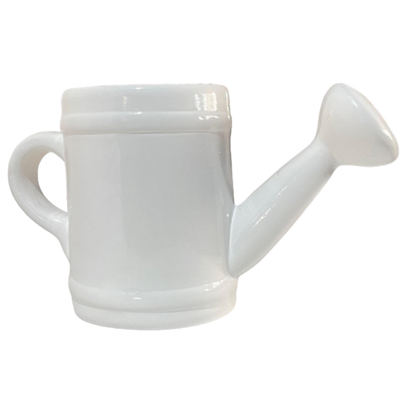 Regador de Cerâmica - Um Toque Charmoso para Sua Decoração