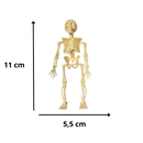 Kit 3 Caveiras De Plástico