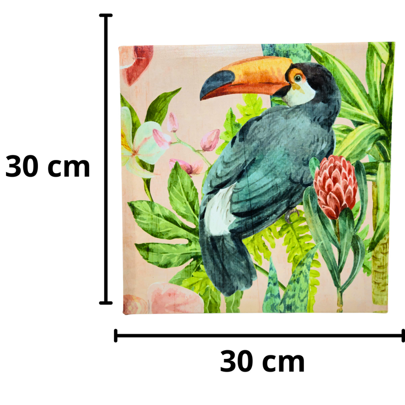 Quadro Tucano 30x30cm