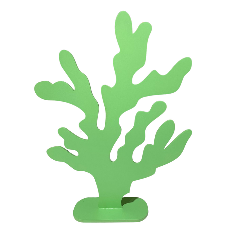 Display Alga Marinha de MDF