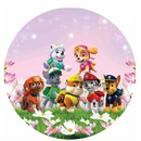 Painel Patrulha Canina 50cm