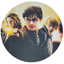 Painel Decorativo Harry Potter 50 cm