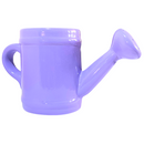 Regador de Cerâmica - Um Toque Charmoso para Sua Decoração