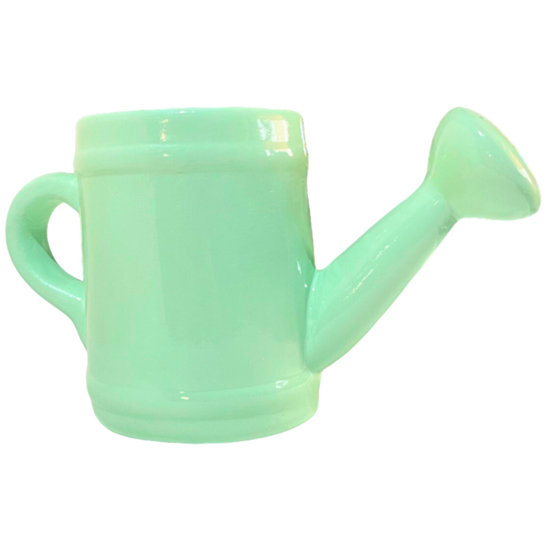 Regador de Cerâmica - Um Toque Charmoso para Sua Decoração