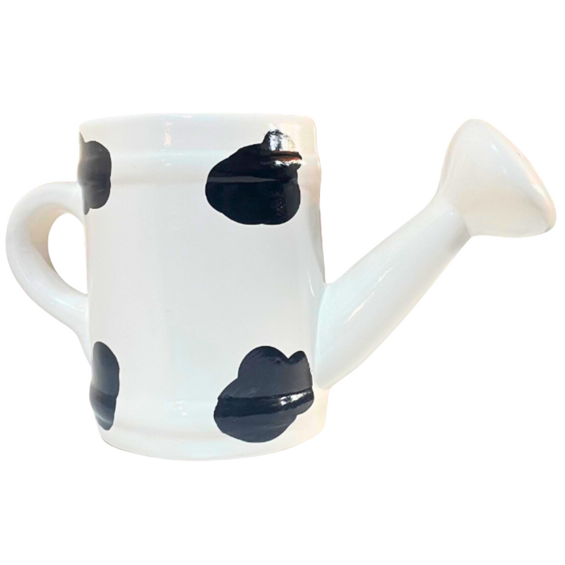 Regador de Cerâmica - Um Toque Charmoso para Sua Decoração