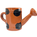 Regador de Cerâmica - Um Toque Charmoso para Sua Decoração