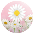 Painel Decorativo Margarida 50 cm