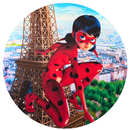 Painel Decorativo Ladybug e Catnoir 50 cm