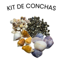 Kit de Conchas Naturais Decorativas para Decoração e Artesanato