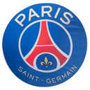 Painel Decorativo PSG 50 cm