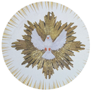 Painel Decorativo Divino Espírito Santo 50 cm