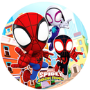 Painel Decorativo Spidey e Seus Amigos Espetaculares 50 cm