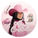 Painel Decorativo Ana Castela Boiadeira 50 cm