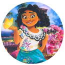 Painel Decorativo Encanto 50 cm – Decoração vibrante para transformar sua festa