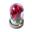 Cupula Bela e a Fera