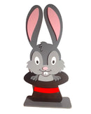 Circo Display Detalhado