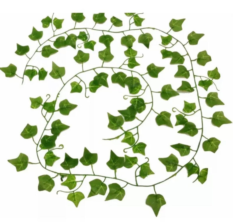 Folhagem de Hera 2 Metros