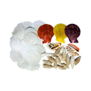 Kit de Conchas Naturais Decorativas para Decoração e Artesanato
