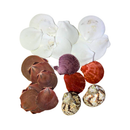 Kit de Conchas Naturais Decorativas para Decoração e Artesanato