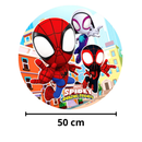 Painel Decorativo Spidey e Seus Amigos Espetaculares 50 cm