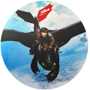 Painel Decorativo Como Treinar Seu Dragão 50 cm