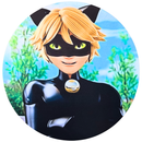 Painel Decorativo Ladybug e Catnoir 50 cm