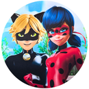 Painel Decorativo Ladybug e Catnoir 50 cm