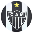 Painel Decorativo Atlético Mineiro 50 cm