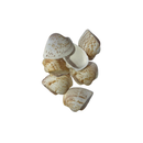 Kit de Conchas Naturais Decorativas para Decoração e Artesanato