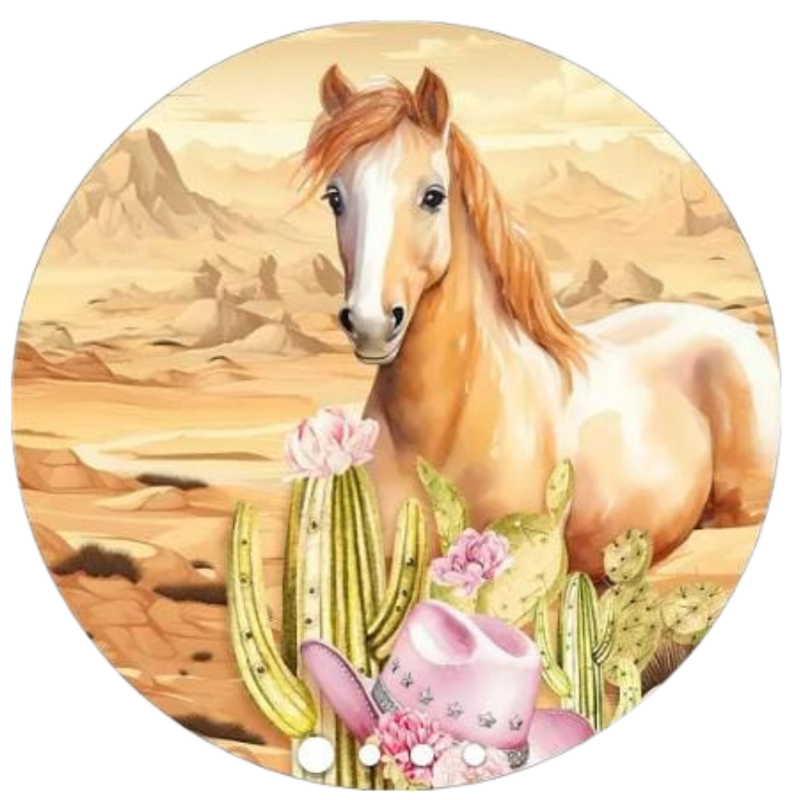 Painel Decorativo Ana Castela Boiadeira 50 cm