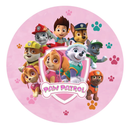 Painel Decorativo Patrulha Canina 50 cm