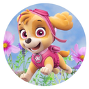 Painel Decorativo Patrulha Canina 50 cm