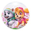 Painel Decorativo Patrulha Canina 50 cm