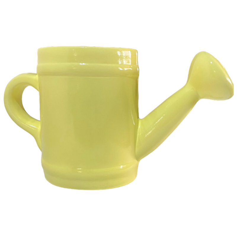 Regador de Cerâmica - Um Toque Charmoso para Sua Decoração